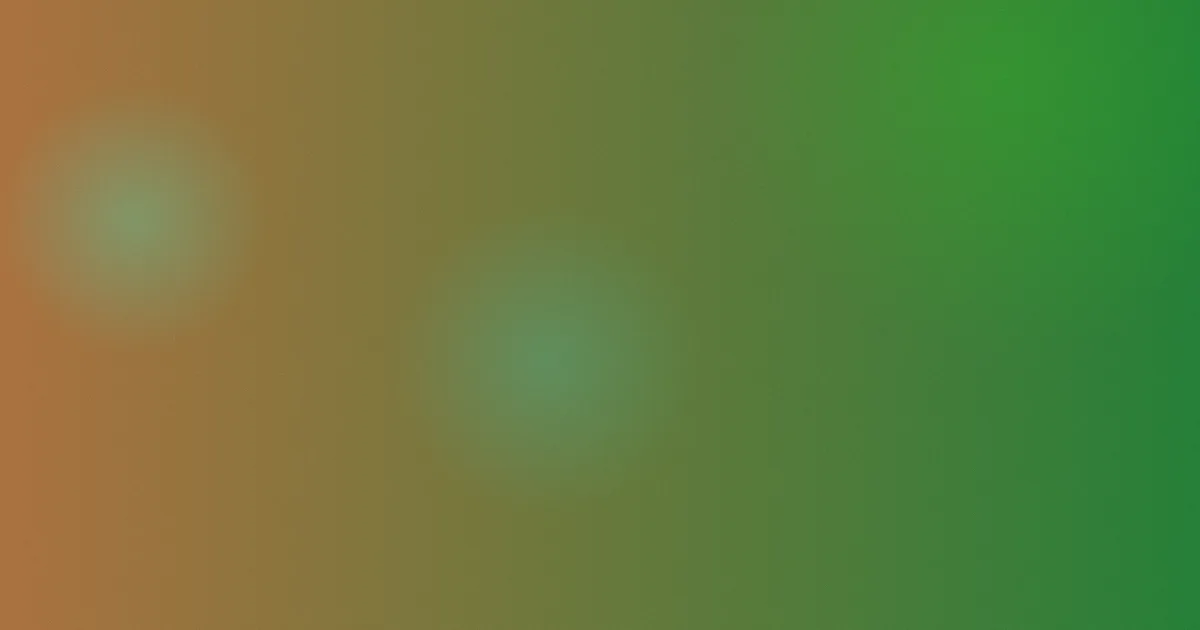 免费视频毛片避坑：免费背后的生意逻辑